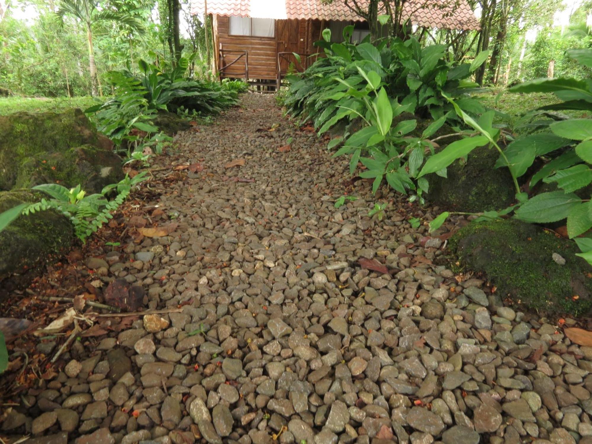 Vocare Finca Agroecologica Upala Exterior photo