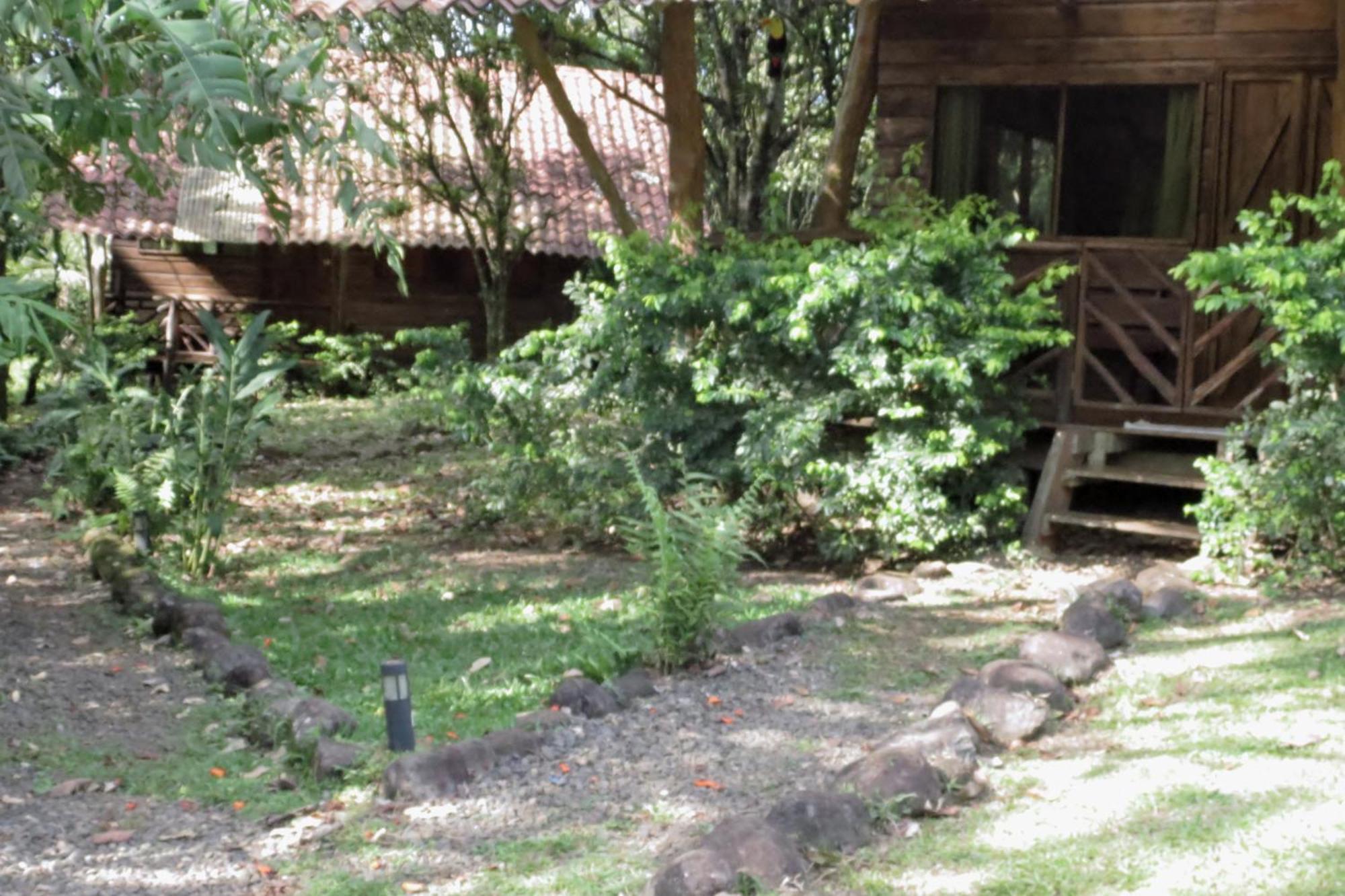 Vocare Finca Agroecologica Upala Exterior photo